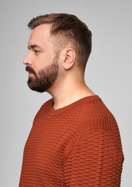 Men Big Sizes | Textured knit jumper - QQ51867