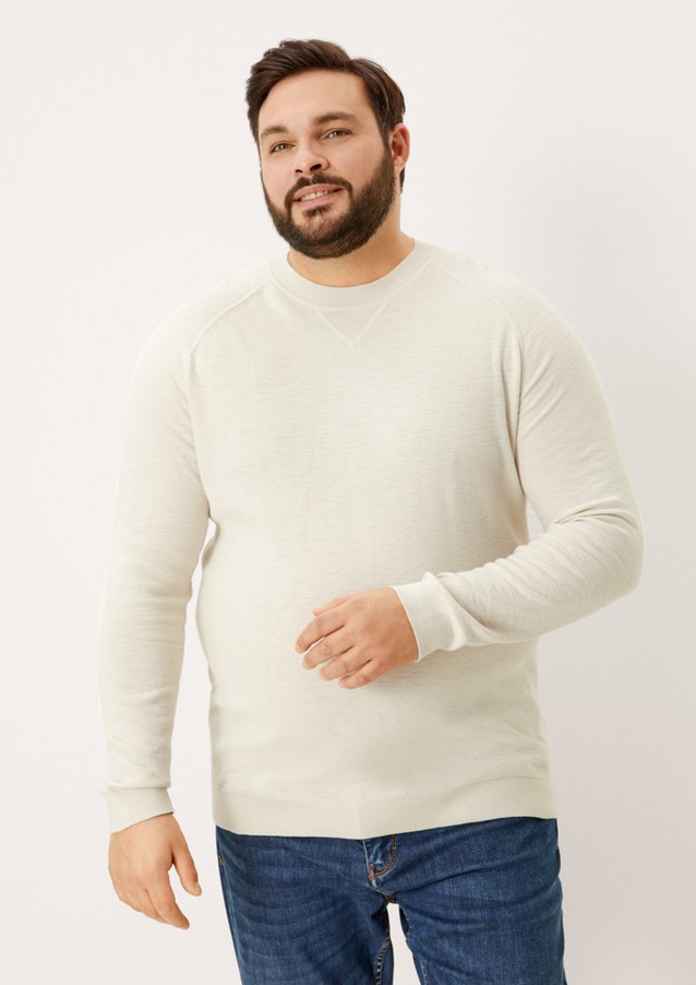Hommes Big Sizes | Pull-over à encolure ronde - TF84783